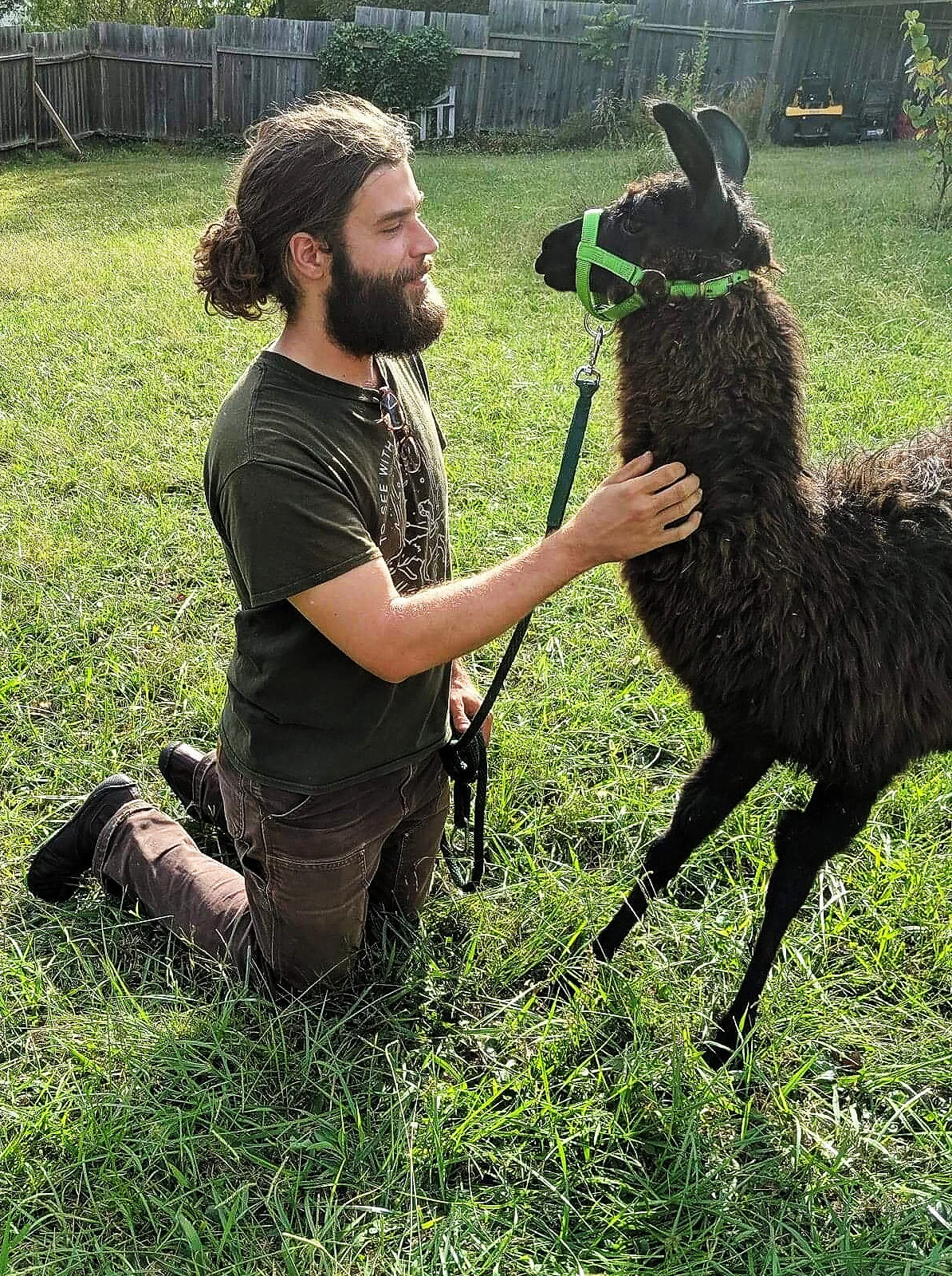 David Wynn leading a llama for animal-assisted therapy