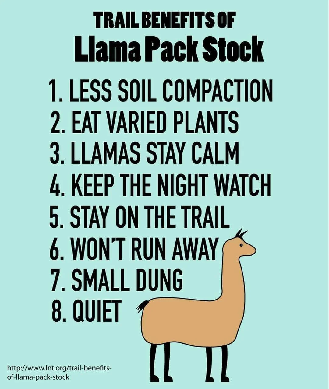 Trail Benefits of Llama Pack Stock