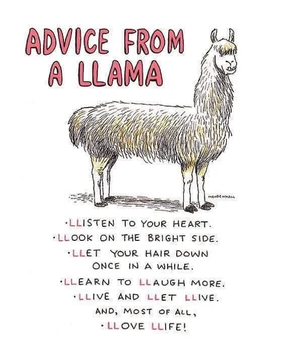 Advice from a Llama