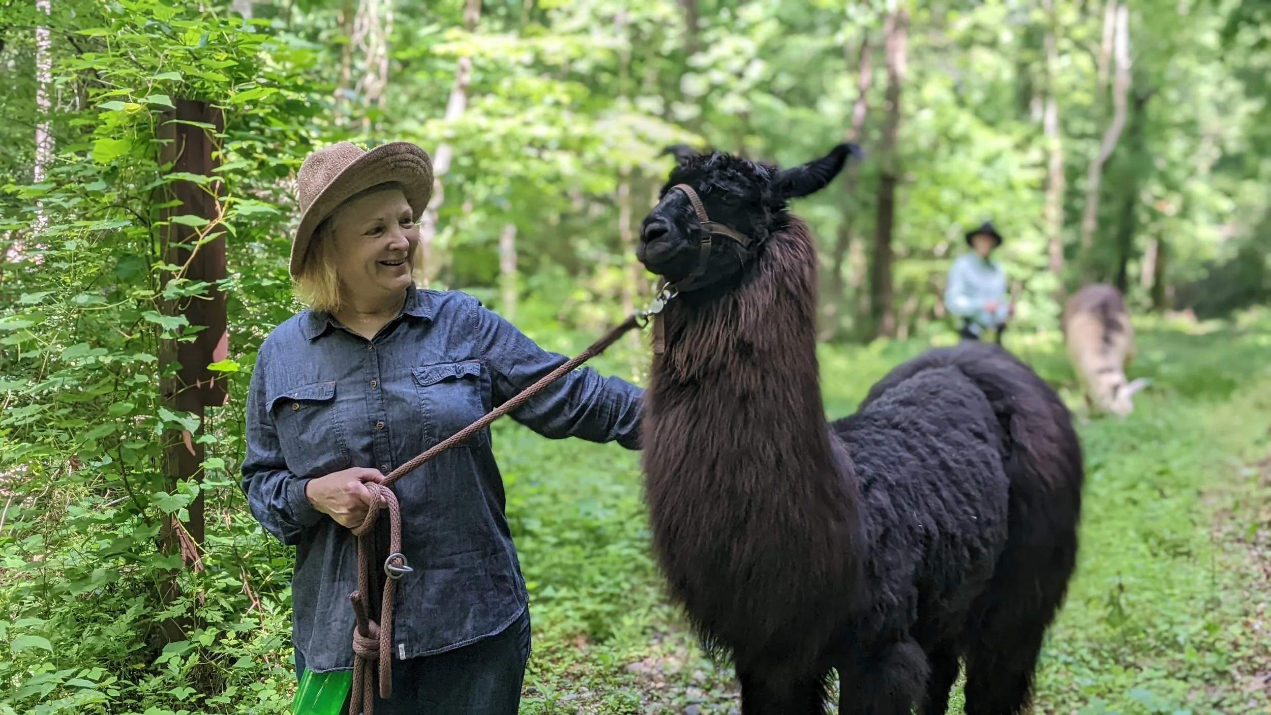 Llama trek guest