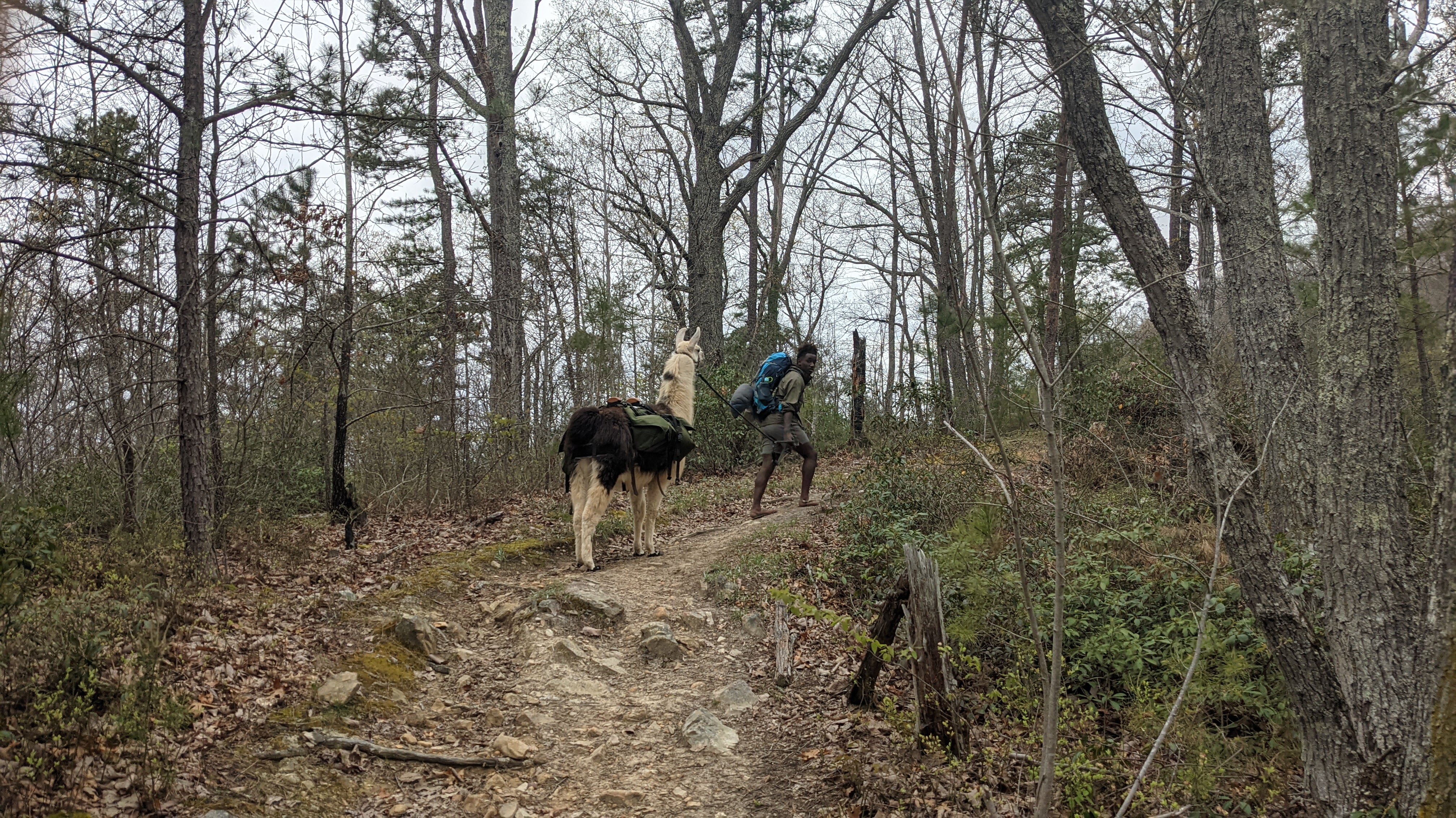 Mountain trail panorama