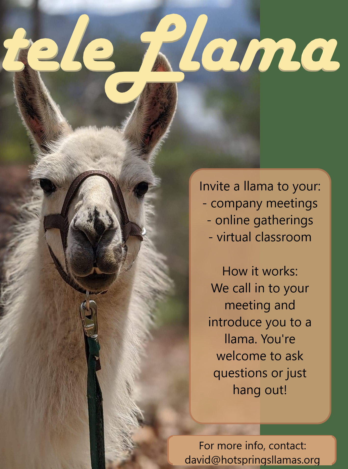 teleLlama