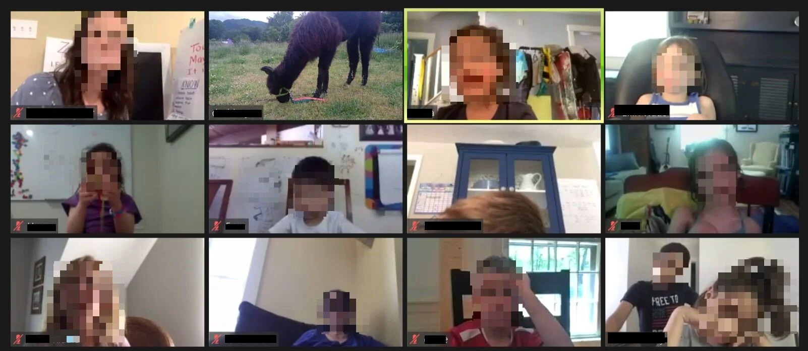 teleLlama video call screenshot